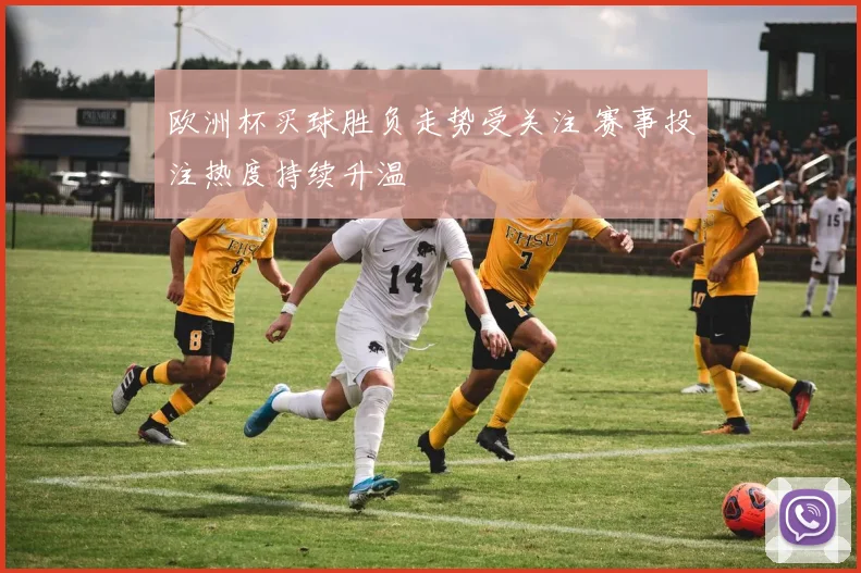 欧洲杯买球胜负走势受关注 赛事投注热度持续升温