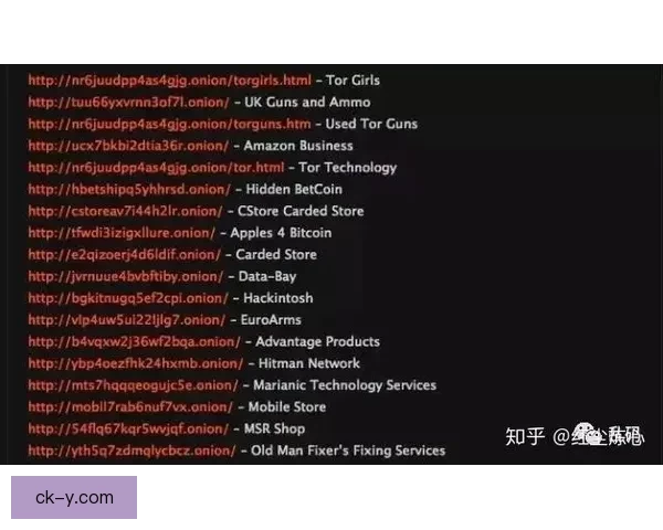 揭秘暗网黑料：一次深入黑暗的数字探险